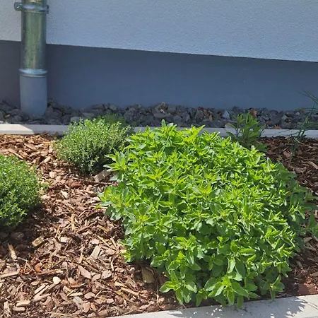 Gartenbungalow Rhoenwild Σπίτι διακοπών *