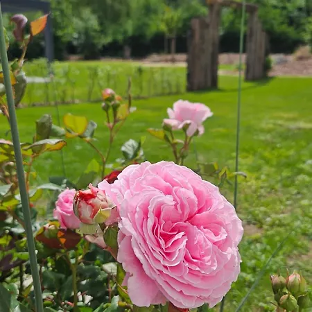 Σπίτι διακοπών Gartenbungalow Rhoenwild Hilders
